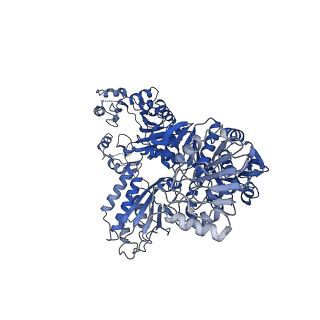 23311_7lg5_A_v1-2
Synechocystis sp. UTEX2470 Cyanophycin synthetase 1 with ATP