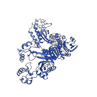 23311_7lg5_B_v1-2
Synechocystis sp. UTEX2470 Cyanophycin synthetase 1 with ATP