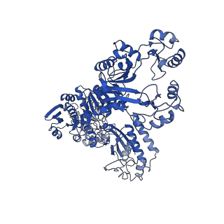 23311_7lg5_C_v1-2
Synechocystis sp. UTEX2470 Cyanophycin synthetase 1 with ATP