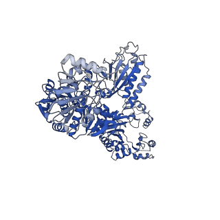 23311_7lg5_D_v1-2
Synechocystis sp. UTEX2470 Cyanophycin synthetase 1 with ATP