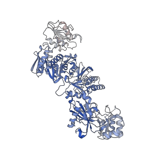 23325_7lgj_A_v1-2
Cyanophycin synthetase 1 from Synechocystis sp. UTEX2470 with ADPCP and 8x(Asp-Arg)-NH2
