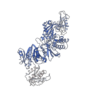 23325_7lgj_B_v1-2
Cyanophycin synthetase 1 from Synechocystis sp. UTEX2470 with ADPCP and 8x(Asp-Arg)-NH2