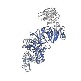 23325_7lgj_C_v1-2
Cyanophycin synthetase 1 from Synechocystis sp. UTEX2470 with ADPCP and 8x(Asp-Arg)-NH2