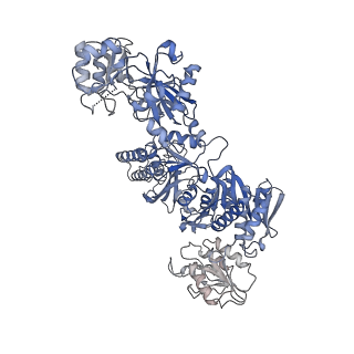23325_7lgj_D_v1-2
Cyanophycin synthetase 1 from Synechocystis sp. UTEX2470 with ADPCP and 8x(Asp-Arg)-NH2