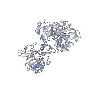 23327_7lgm_A_v1-2
Cyanophycin synthetase from A. baylyi DSM587 with ATP