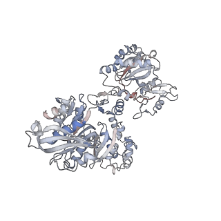 23327_7lgm_B_v1-2
Cyanophycin synthetase from A. baylyi DSM587 with ATP