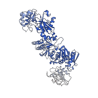 23328_7lgq_A_v1-2
Cyanophycin synthetase 1 from Synechocystis sp. UTEX2470 with ATP and 8x(Asp-Arg)-Asn