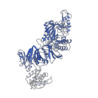 23328_7lgq_D_v1-2
Cyanophycin synthetase 1 from Synechocystis sp. UTEX2470 with ATP and 8x(Asp-Arg)-Asn