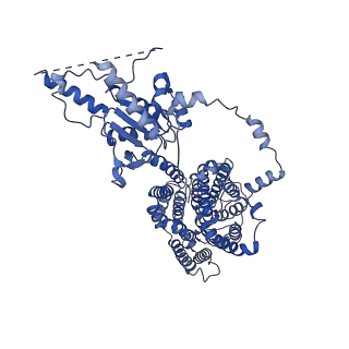 23331_7lgw_A_v1-1
Structure of human Prestin in nanodisc in the presence of NaCl