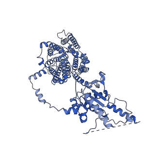 23331_7lgw_B_v1-1
Structure of human Prestin in nanodisc in the presence of NaCl