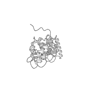0901_6lhw_C_v1-1
Structure of N-terminal and C-terminal domains of FANCA