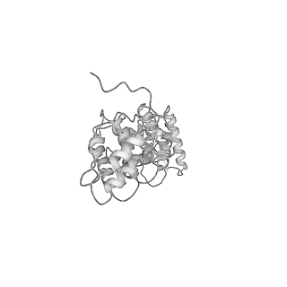 0901_6lhw_C_v1-2
Structure of N-terminal and C-terminal domains of FANCA