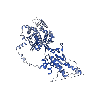 23334_7lh2_A_v1-1
Structure of human prestin in the presence of sodium salicylate and sodium sulfate