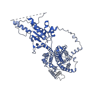 23334_7lh2_B_v1-1
Structure of human prestin in the presence of sodium salicylate and sodium sulfate