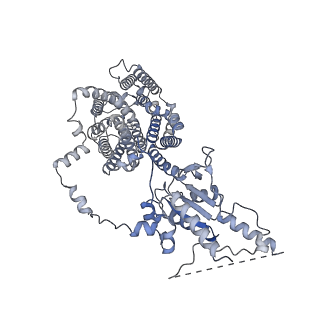 23335_7lh3_A_v1-1
Structure of human prestin in the presence of sodium sulfate