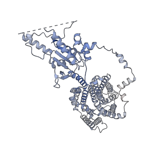 23335_7lh3_B_v1-1
Structure of human prestin in the presence of sodium sulfate