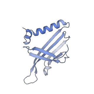23336_7lhd_BA_v1-1
The complete model of phage Qbeta virion