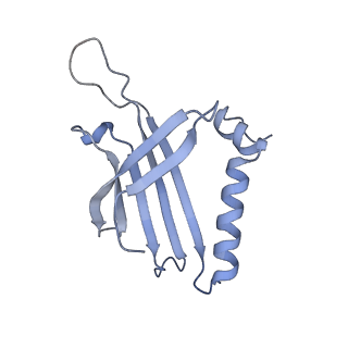 23336_7lhd_BB_v1-1
The complete model of phage Qbeta virion