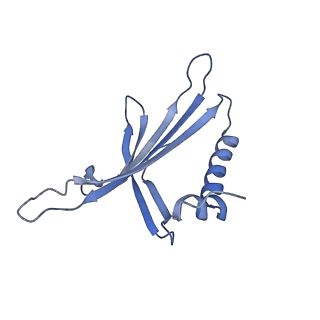 23336_7lhd_BF_v1-1
The complete model of phage Qbeta virion