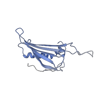 23336_7lhd_BH_v1-1
The complete model of phage Qbeta virion