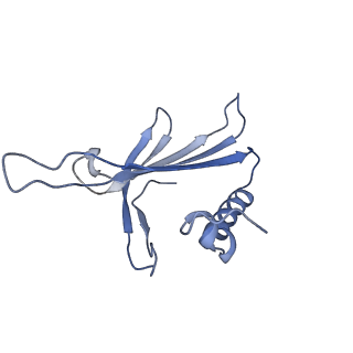 23336_7lhd_BK_v1-1
The complete model of phage Qbeta virion