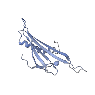 23336_7lhd_BL_v1-1
The complete model of phage Qbeta virion