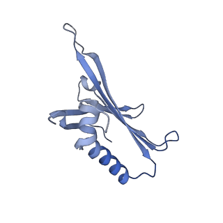 23336_7lhd_BM_v1-1
The complete model of phage Qbeta virion