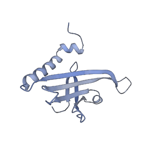 23336_7lhd_CB_v1-1
The complete model of phage Qbeta virion