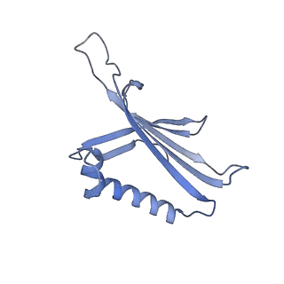 23336_7lhd_CC_v1-1
The complete model of phage Qbeta virion