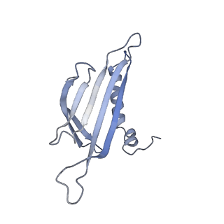 23336_7lhd_CD_v1-1
The complete model of phage Qbeta virion