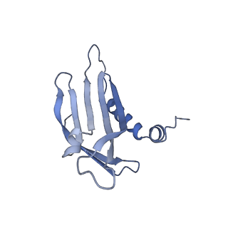 23336_7lhd_CE_v1-1
The complete model of phage Qbeta virion