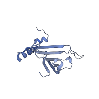23336_7lhd_CF_v1-1
The complete model of phage Qbeta virion