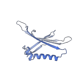 23336_7lhd_CG_v1-1
The complete model of phage Qbeta virion