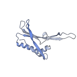 23336_7lhd_CH_v1-1
The complete model of phage Qbeta virion