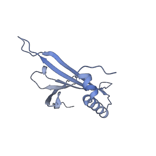 23336_7lhd_CJ_v1-1
The complete model of phage Qbeta virion