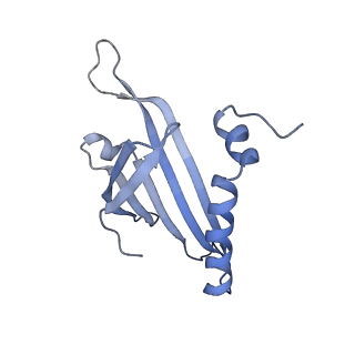 23336_7lhd_CK_v1-1
The complete model of phage Qbeta virion
