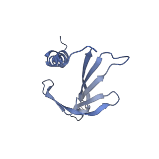 23336_7lhd_CN_v1-1
The complete model of phage Qbeta virion