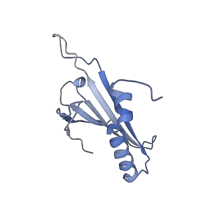 23336_7lhd_DA_v1-1
The complete model of phage Qbeta virion