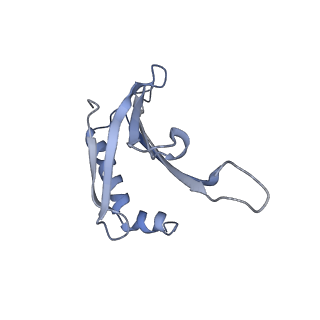 23336_7lhd_DB_v1-1
The complete model of phage Qbeta virion