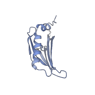 23336_7lhd_DC_v1-1
The complete model of phage Qbeta virion