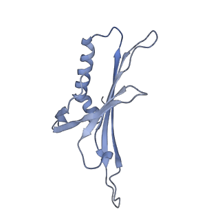 23336_7lhd_DE_v1-1
The complete model of phage Qbeta virion