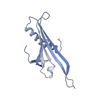 23336_7lhd_DF_v1-1
The complete model of phage Qbeta virion