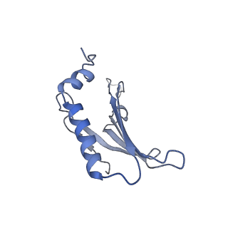 23336_7lhd_DG_v1-1
The complete model of phage Qbeta virion