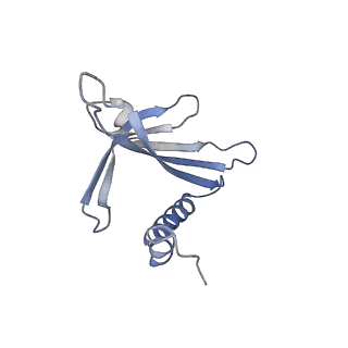 23336_7lhd_DH_v1-1
The complete model of phage Qbeta virion
