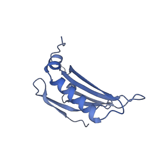 23336_7lhd_DK_v1-1
The complete model of phage Qbeta virion