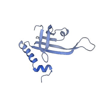 23336_7lhd_DL_v1-1
The complete model of phage Qbeta virion