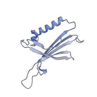 23336_7lhd_DM_v1-1
The complete model of phage Qbeta virion