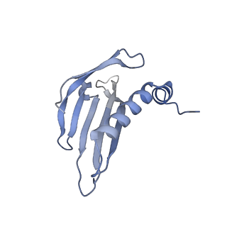 23336_7lhd_EA_v1-1
The complete model of phage Qbeta virion