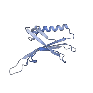 23336_7lhd_EC_v1-1
The complete model of phage Qbeta virion