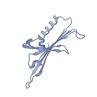 23336_7lhd_ED_v1-1
The complete model of phage Qbeta virion